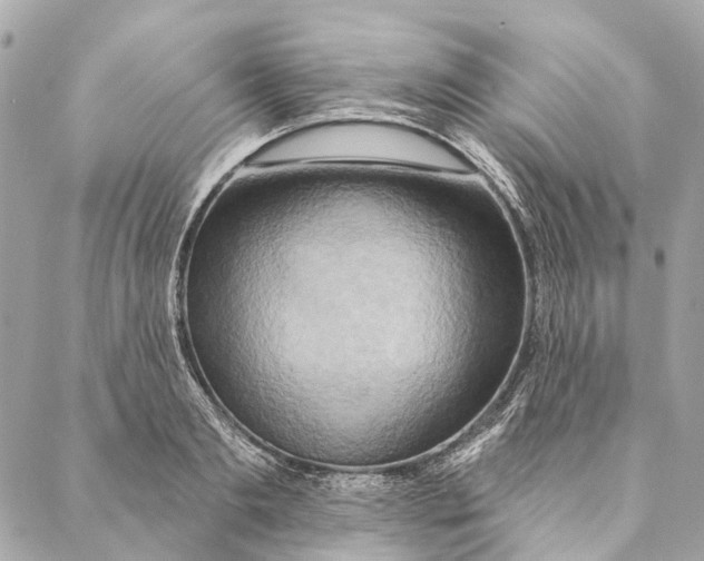 X0000087350893200705111617