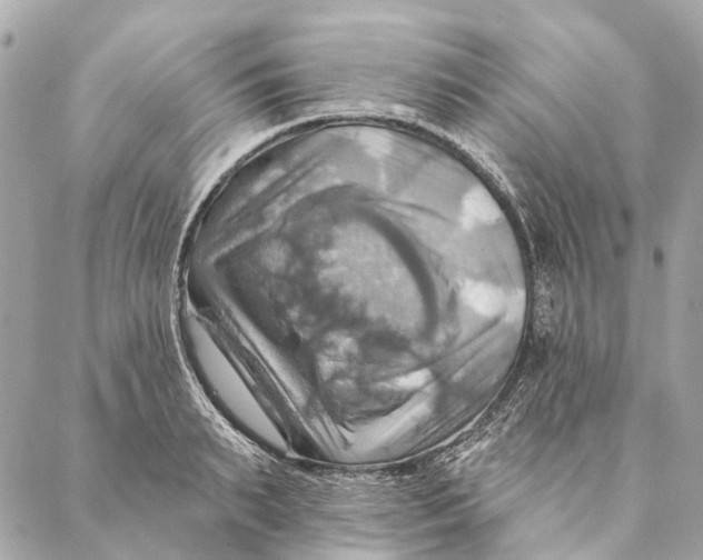 X0000087350895200705111617