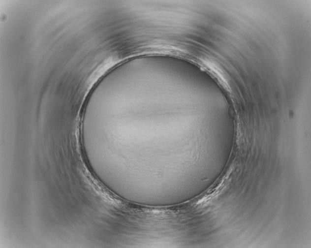 X0000087350899200705111617