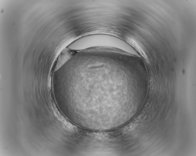 X0000087350900200705111617