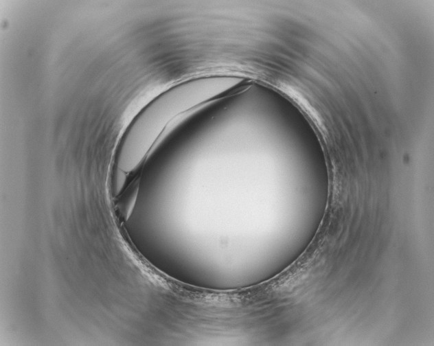 X0000087350901200705111617