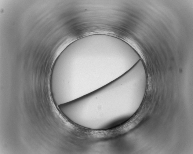 X0000087350906200705111617