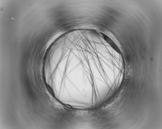 X0000087350909200705111617