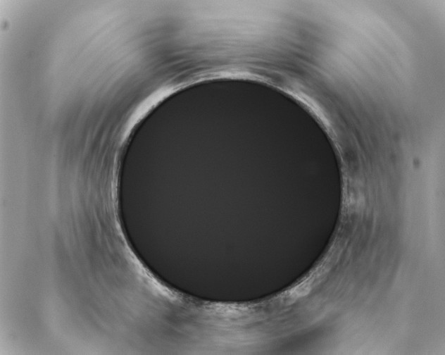 X0000087350910200705111617