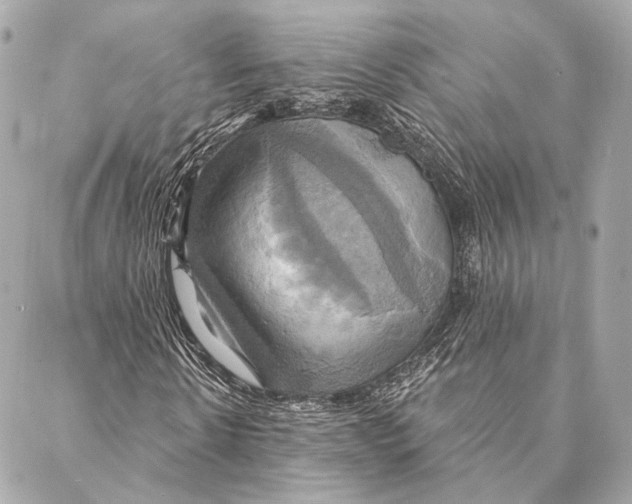 X0000087350914200705111616
