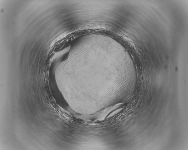 X0000087350920200705111616