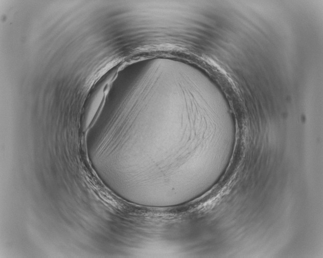 X0000087350921200705111616