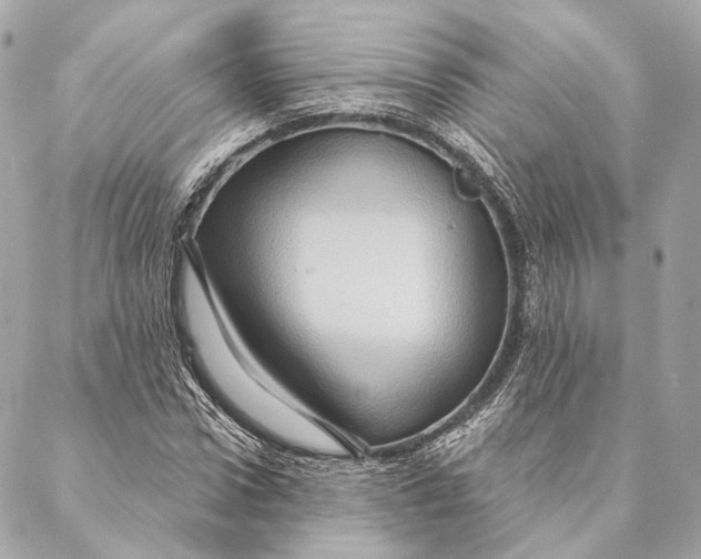 X0000087350922200705111616