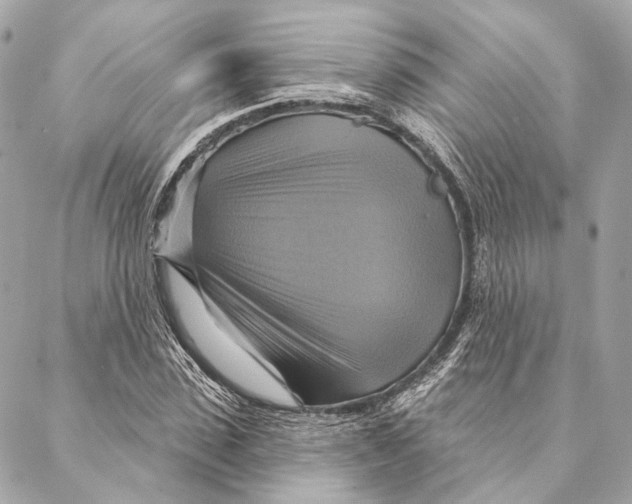 X0000087350923200705111616