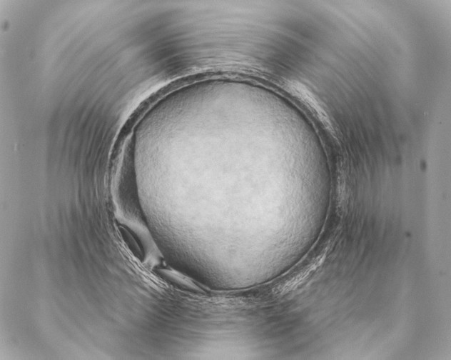 X0000087350924200705111616