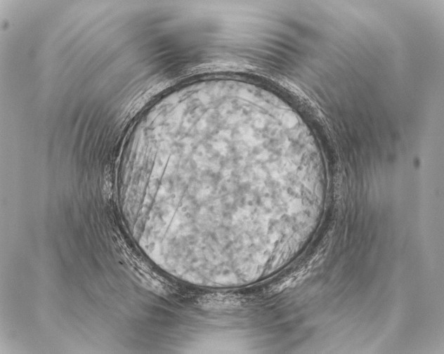 X0000087350929200705111616