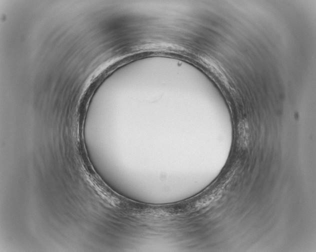 X0000087350931200705111616