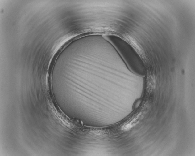 X0000087350932200705111616