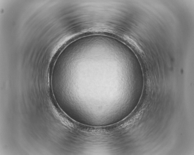 X0000087350934200705111616