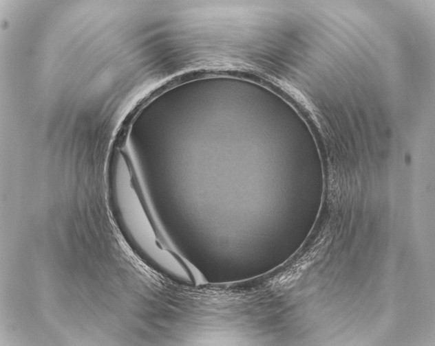X0000087350935200705111616