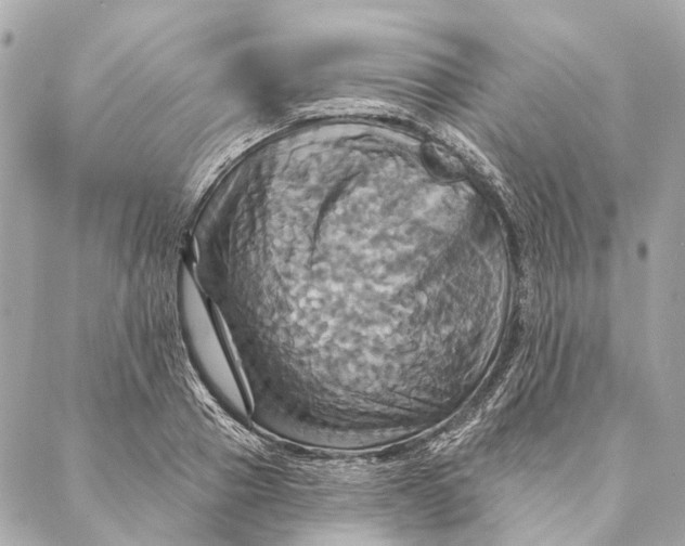 X0000087350937200705111616