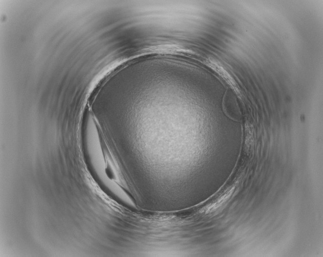 X0000087350939200705111616