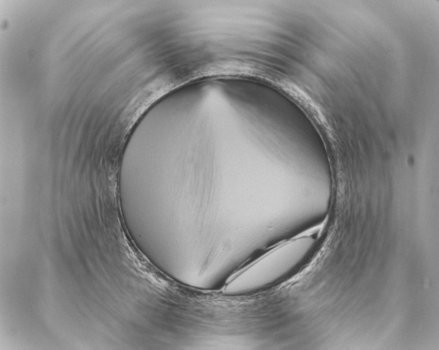 X0000087350945200705111616