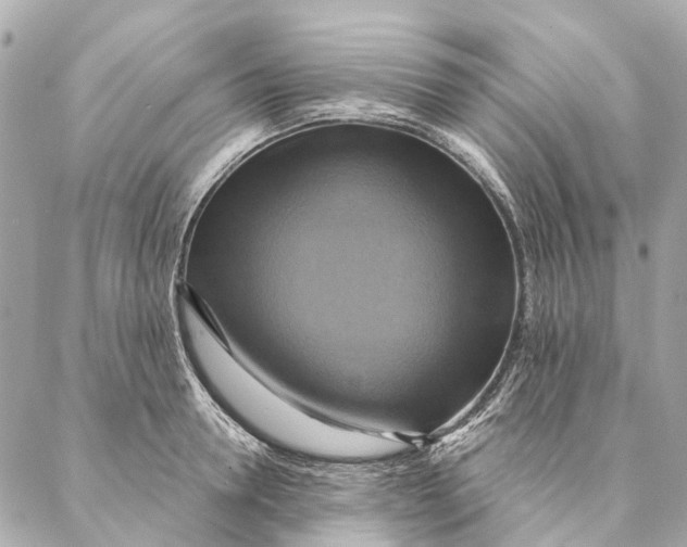 X0000087350946200705111616