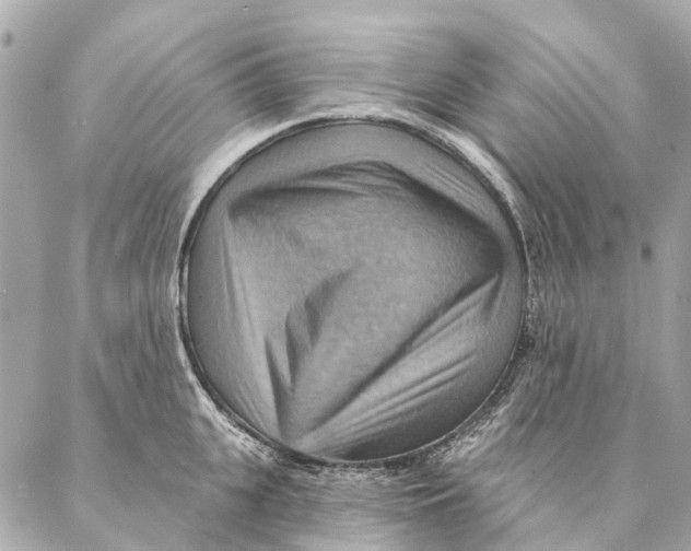 X0000087350951200705111616
