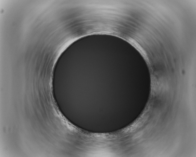 X0000087350956200705111616
