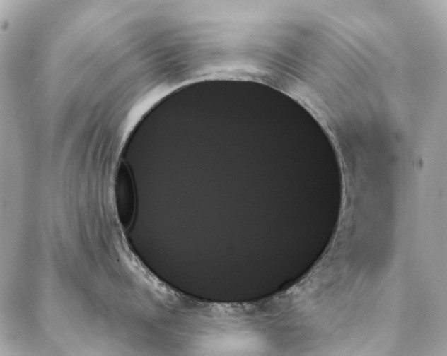 X0000087350960200705111617