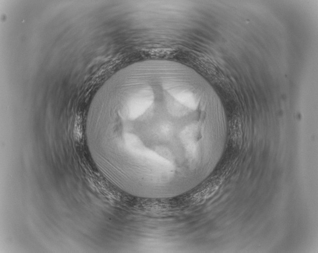 X0000087350962200705111616