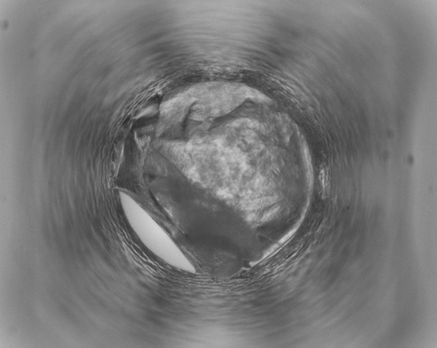 X0000087350963200705111616
