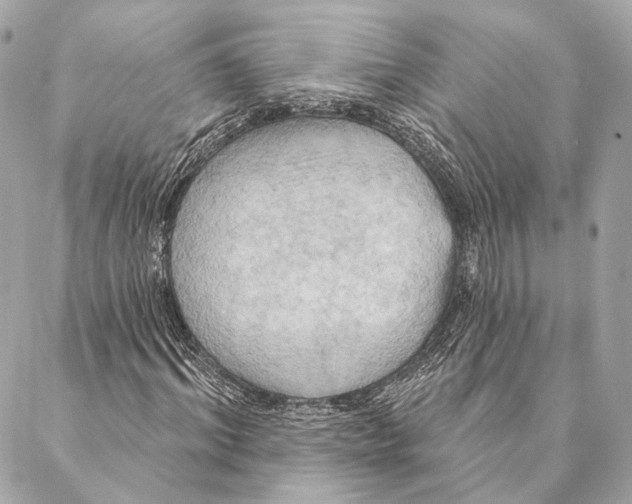 X0000087350964200705111616