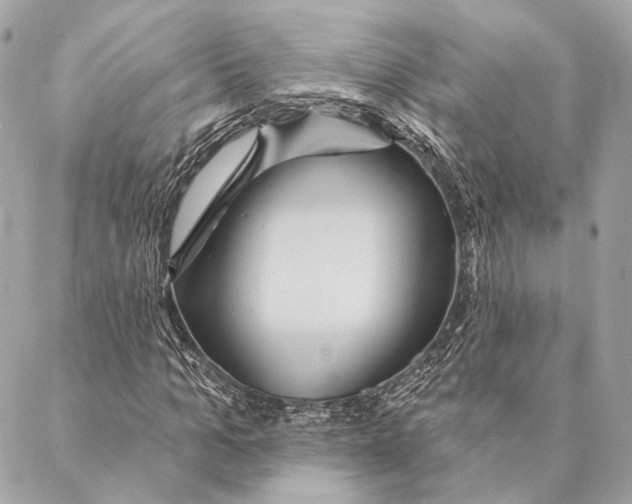 X0000087350965200705111616