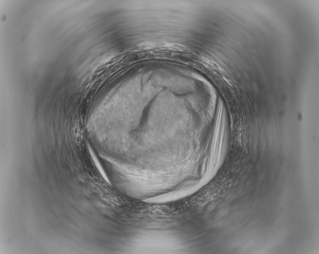 X0000087350966200705111616