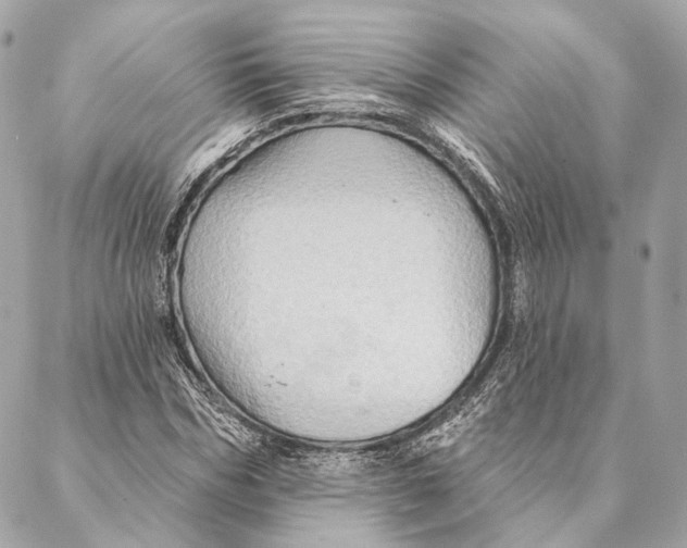 X0000087350970200705111616