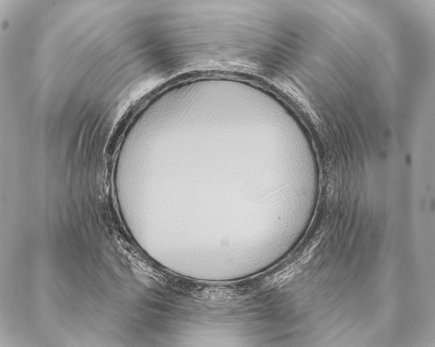 X0000087350974200705111616
