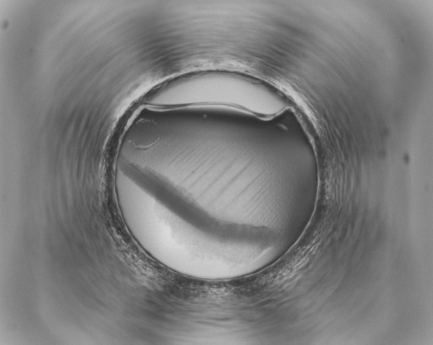 X0000087350975200705111616