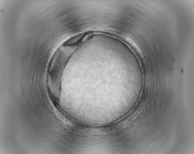 X0000087350976200705111615