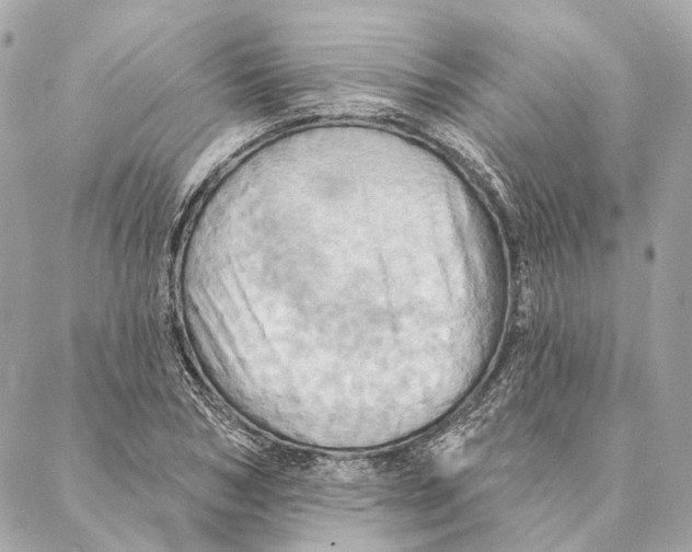 X0000087350978200705111615