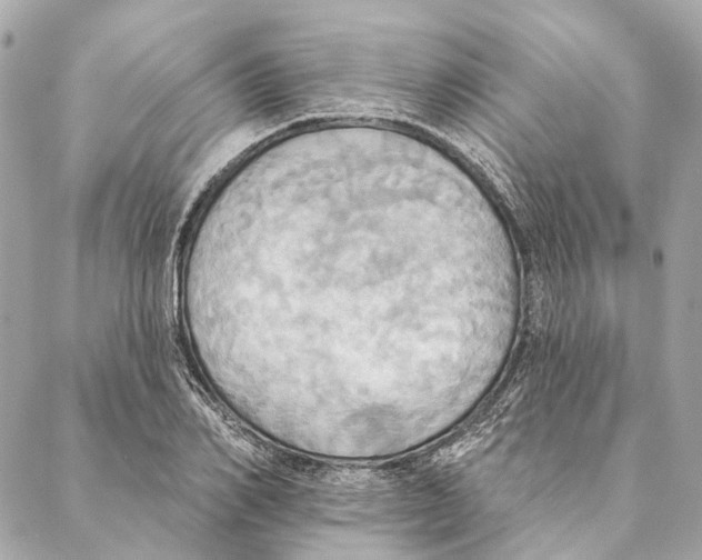 X0000087350982200705111615