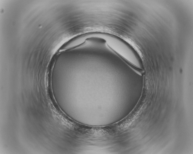 X0000087350983200705111615