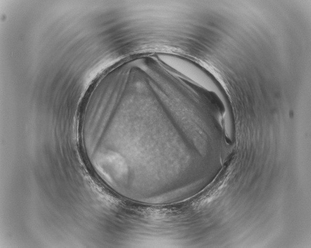 X0000087350987200705111615