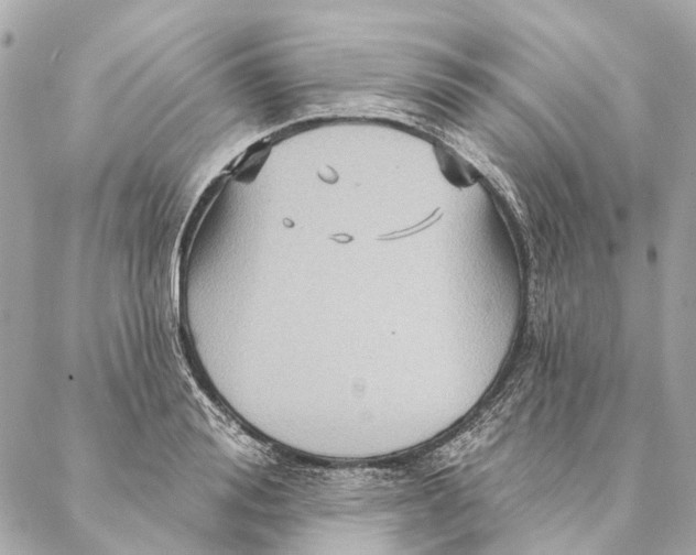 X0000087350988200705111615