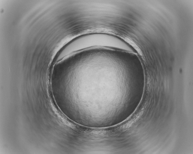X0000087350989200705111615