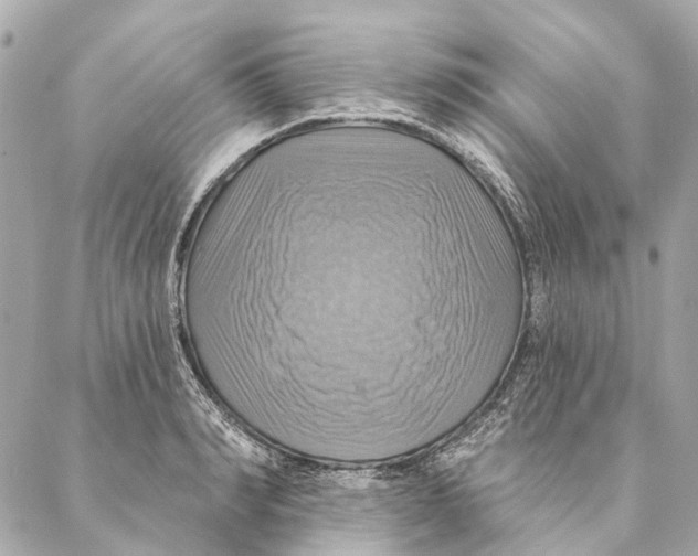 X0000087350990200705111615