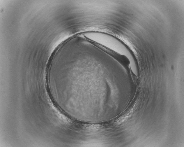 X0000087350991200705111615