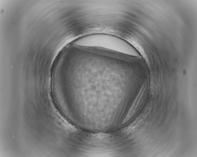 X0000087350992200705111615
