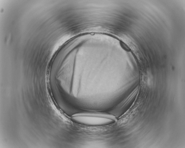 X0000087350998200705111615