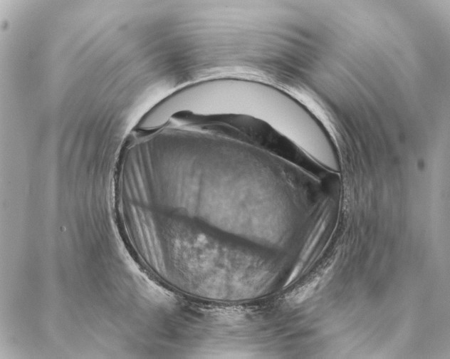 X0000087350999200705111615