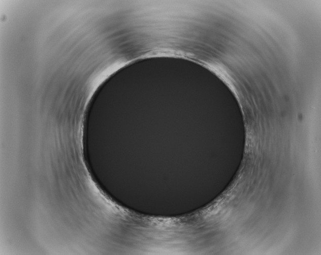 X0000087351003200705111615