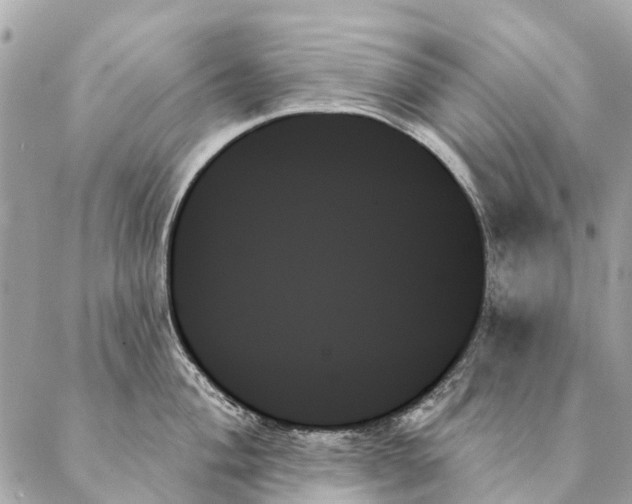 X0000087351004200705111615