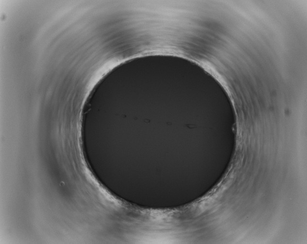 X0000087351005200705111615