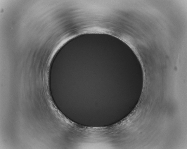 X0000087351008200705111615